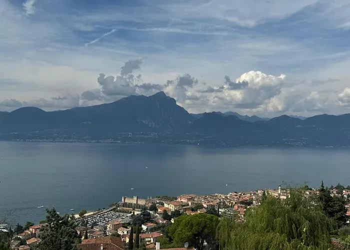 The View