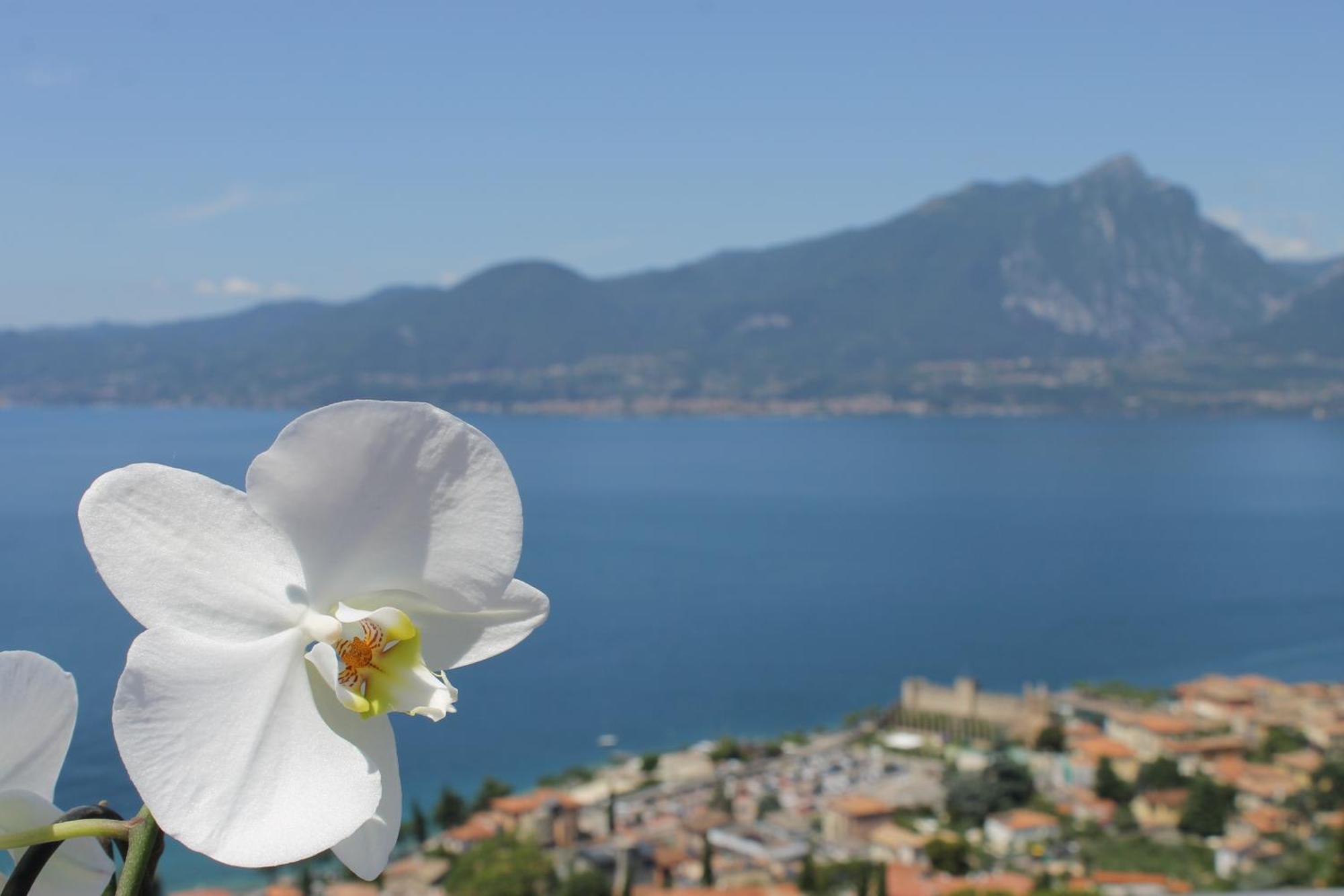 The View Apartment Torri Del Benaco