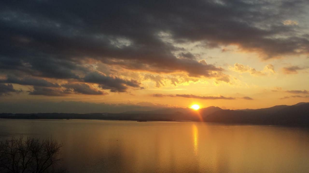 The View *