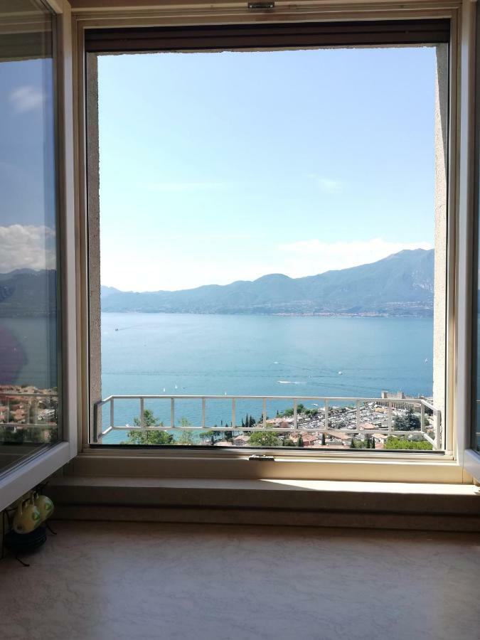 The View *