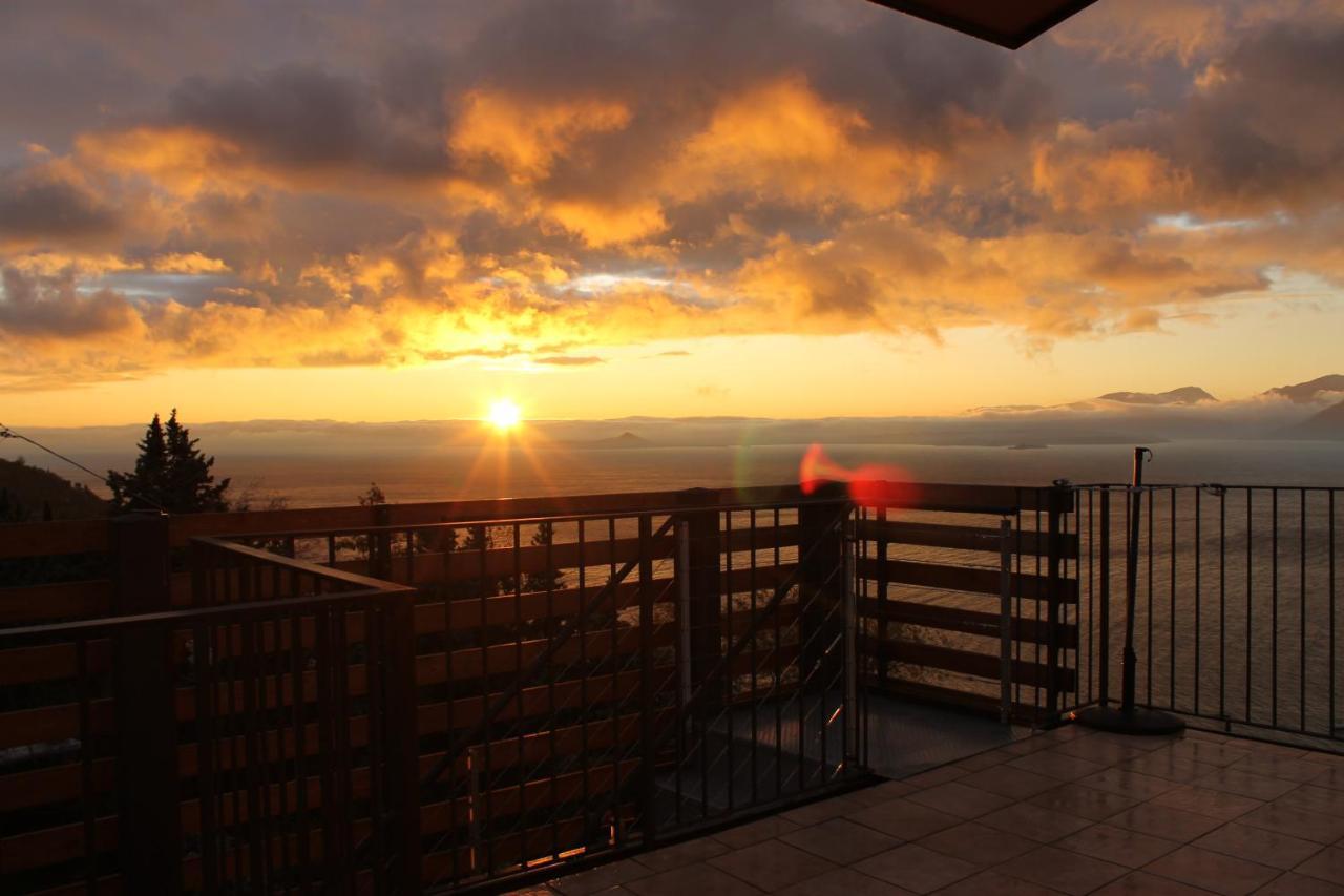 The View