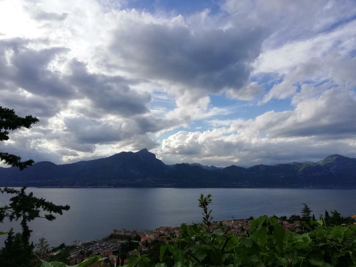 The View Appartement *